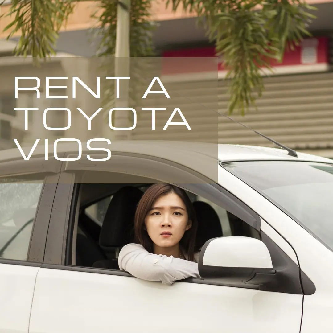 vios2